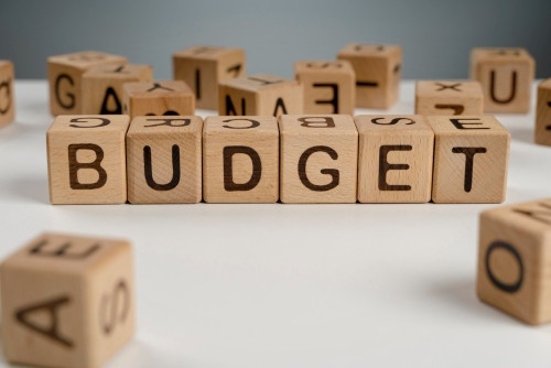 Budget Analysis at the Merchant Chamber of Commerce and Industry (MCCI)