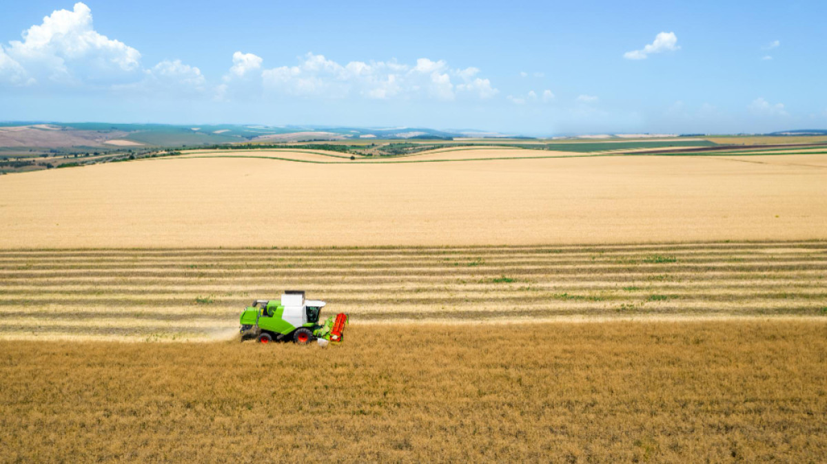 How Decisive Action to Restore Land can Help Mend the Planet