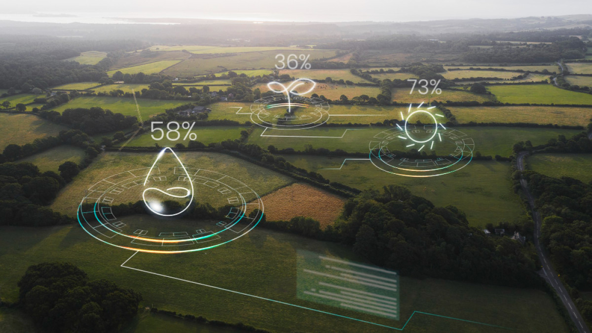 How Climate Action Could Become Business Strategy for the Private Sector